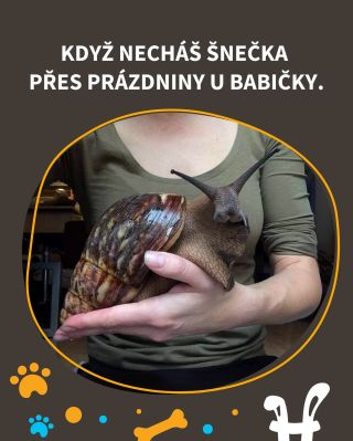 Babiččina dieta 😂🍽️ #vtípky #vtip #mameradizvirata