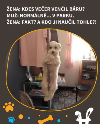 Když páníček kecá 😂🐶 #vtípky #sepsem #pesnejlepsipritelcloveka