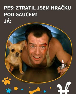 Taky doma máte pod gaučem černou díru? 😅 #vtípky #vtip #pesnejlepsipritelcloveka