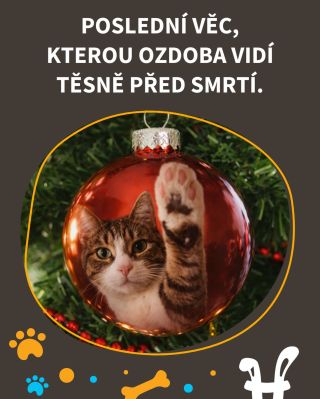 A co vaše ozdoby? Ještě žijou? 😺 #vtípky #vtip #mameradikocky #vánoce