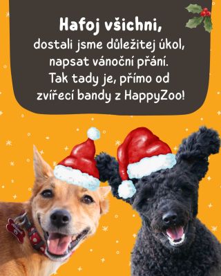 Přejeme vám krásný svátky plný pohody, voňavýho cukroví (hlavně toho, co náhodou spadne na zem), gaučingu a spoustu...